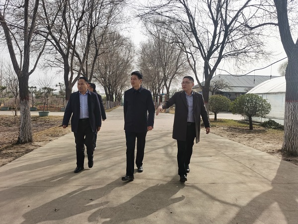 陕西林业集团